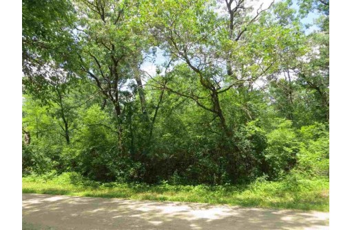 LOT 44 Black Oak Court, Coloma, WI 54930