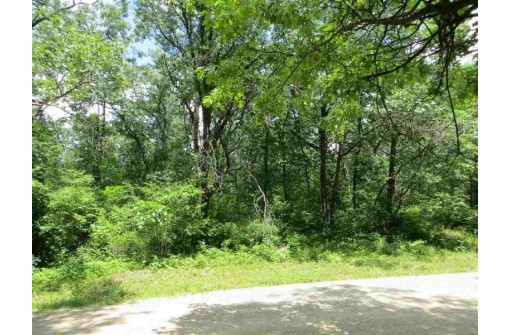 LOT 44 Black Oak Court, Coloma, WI 54930