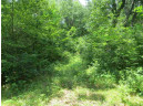 LOT 44 Black Oak Court, Coloma, WI 54930