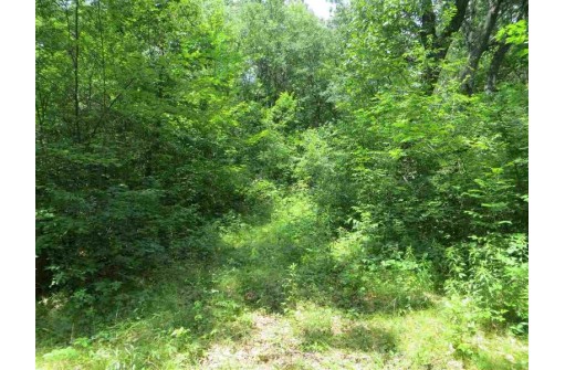 LOT 44 Black Oak Court, Coloma, WI 54930