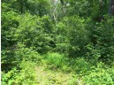 LOT 44 Black Oak Court, Coloma, WI 54930