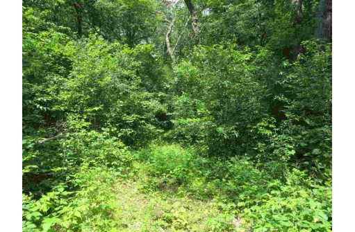 LOT 44 Black Oak Court, Coloma, WI 54930