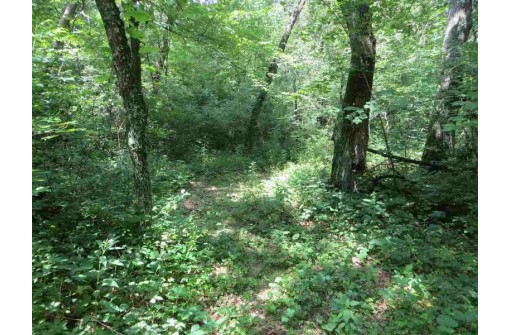 LOT 44 Black Oak Court, Coloma, WI 54930