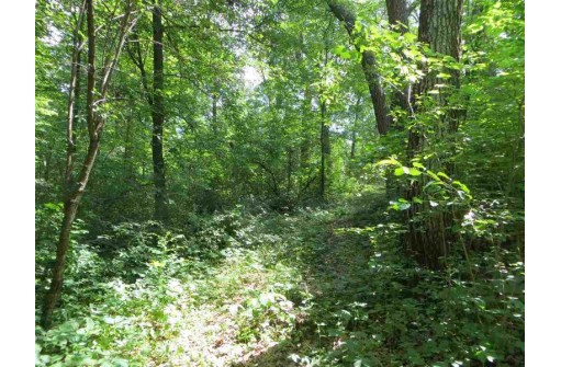 LOT 44 Black Oak Court, Coloma, WI 54930