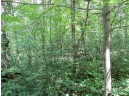 LOT 44 Black Oak Court, Coloma, WI 54930