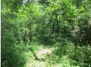 LOT 44 Black Oak Court, Coloma, WI 54930