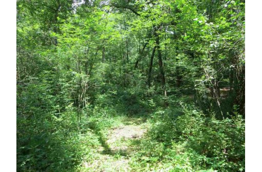 LOT 44 Black Oak Court, Coloma, WI 54930