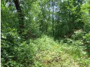 LOT 44 Black Oak Court, Coloma, WI 54930