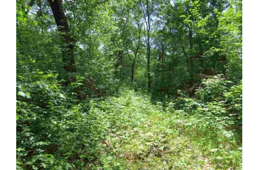 LOT 44 Black Oak Court, Coloma, WI 54930