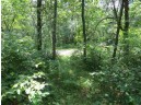 LOT 44 Black Oak Court, Coloma, WI 54930