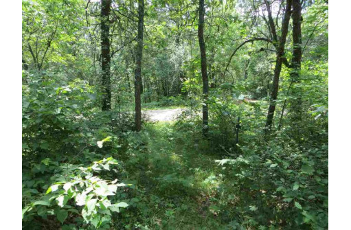 LOT 44 Black Oak Court, Coloma, WI 54930