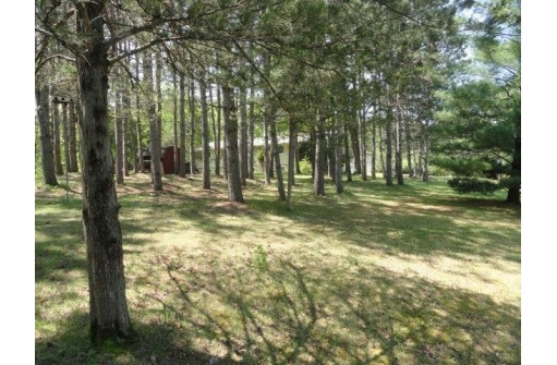 W6360 Tamarack Court, Neshkoro, WI 54960