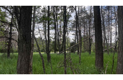 LOT 73 Pine Drive, Montello, WI 53949