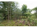 LOT8 Spruce, Spring Green, WI 53588