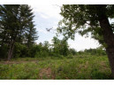 LOT8 Spruce, Spring Green, WI 53588