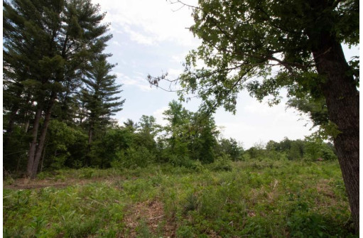 LOT8 Spruce, Spring Green, WI 53588