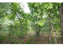 LOT8 Spruce, Spring Green, WI 53588