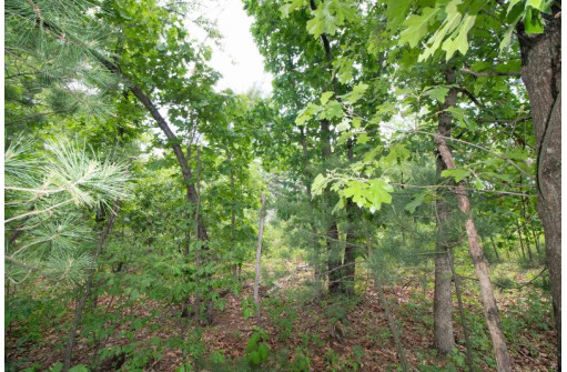 LOT8 Spruce, Spring Green, WI 53588