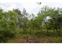 LOT8 Spruce, Spring Green, WI 53588