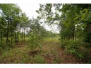 LOT8 Spruce, Spring Green, WI 53588