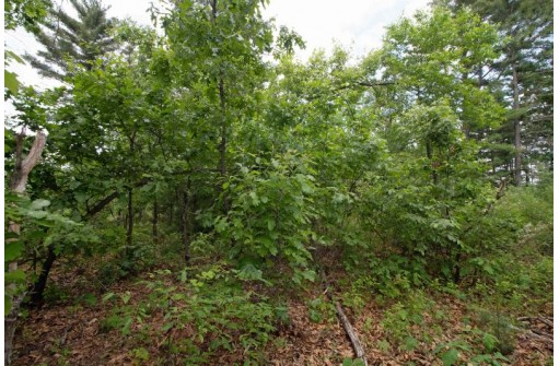 LOT8 Spruce, Spring Green, WI 53588