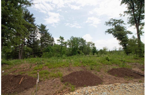 LOT8 Spruce, Spring Green, WI 53588