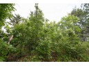 LOT8 Spruce, Spring Green, WI 53588