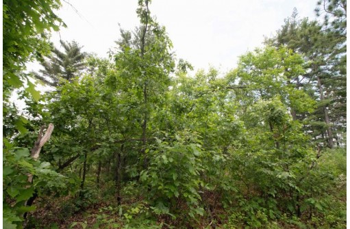 LOT8 Spruce, Spring Green, WI 53588