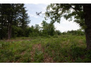 LOT8 Spruce, Spring Green, WI 53588