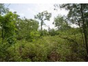 LOT8 Spruce, Spring Green, WI 53588