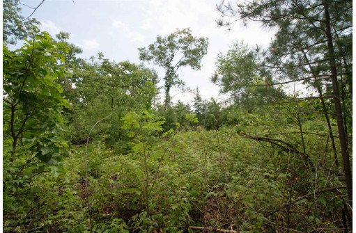 LOT8 Spruce, Spring Green, WI 53588