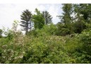 LOT8 Spruce, Spring Green, WI 53588