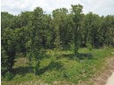 LOT8 Spruce, Spring Green, WI 53588