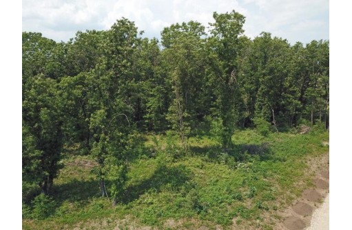 LOT8 Spruce, Spring Green, WI 53588