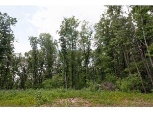 LOT13 Spruce Spring Green, WI 53588