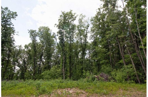 LOT13 Spruce, Spring Green, WI 53588