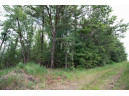 LOT13 Spruce, Spring Green, WI 53588