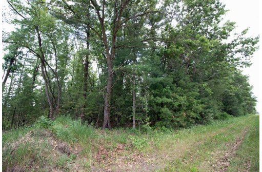 LOT13 Spruce, Spring Green, WI 53588