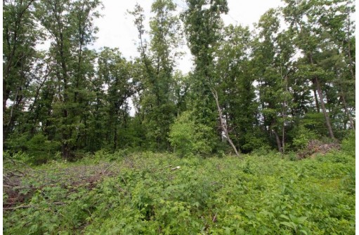 LOT13 Spruce, Spring Green, WI 53588