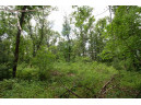 LOT13 Spruce, Spring Green, WI 53588