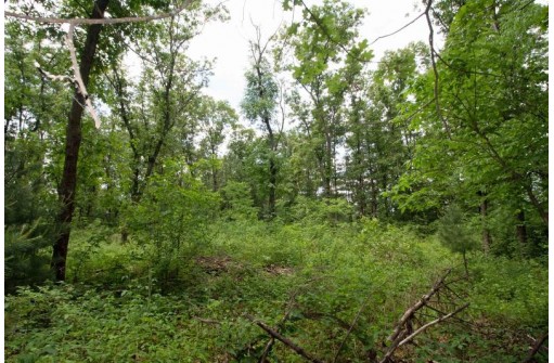 LOT13 Spruce, Spring Green, WI 53588