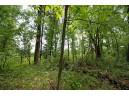 LOT13 Spruce, Spring Green, WI 53588