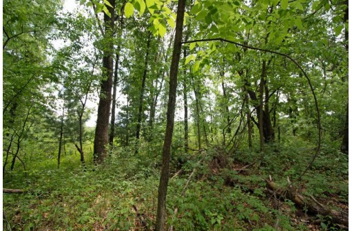 LOT13 Spruce, Spring Green, WI 53588