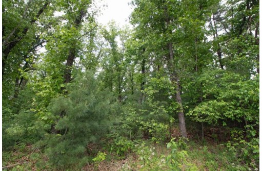 LOT13 Spruce, Spring Green, WI 53588