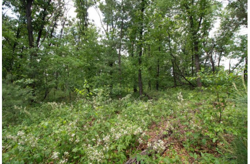 LOT13 Spruce, Spring Green, WI 53588