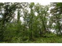 LOT13 Spruce, Spring Green, WI 53588