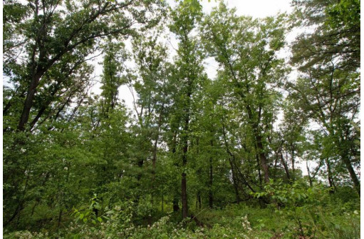 LOT13 Spruce, Spring Green, WI 53588