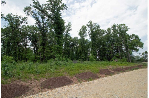 LOT13 Spruce, Spring Green, WI 53588