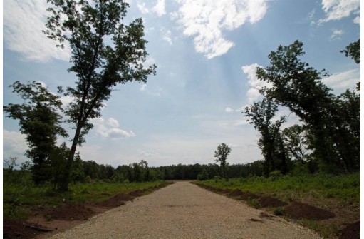 LOT13 Spruce, Spring Green, WI 53588