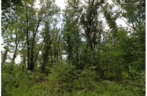 LOT13 Spruce, Spring Green, WI 53588